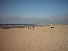 Beach in Scheveningen
