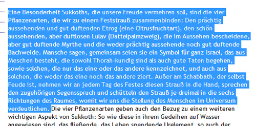 Sukkot-Artikel auf talmud.de