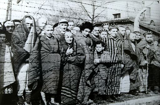 Auschwitz Liberated January 1945