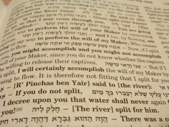 Textdetail Artscroll