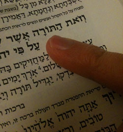 Finger - WeSot haTorah