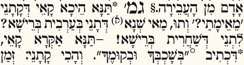 Steinsaltz - hebräischer/aramäischer Text