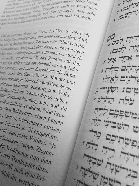 Blick in die Torahausgabe des Herder Verlags