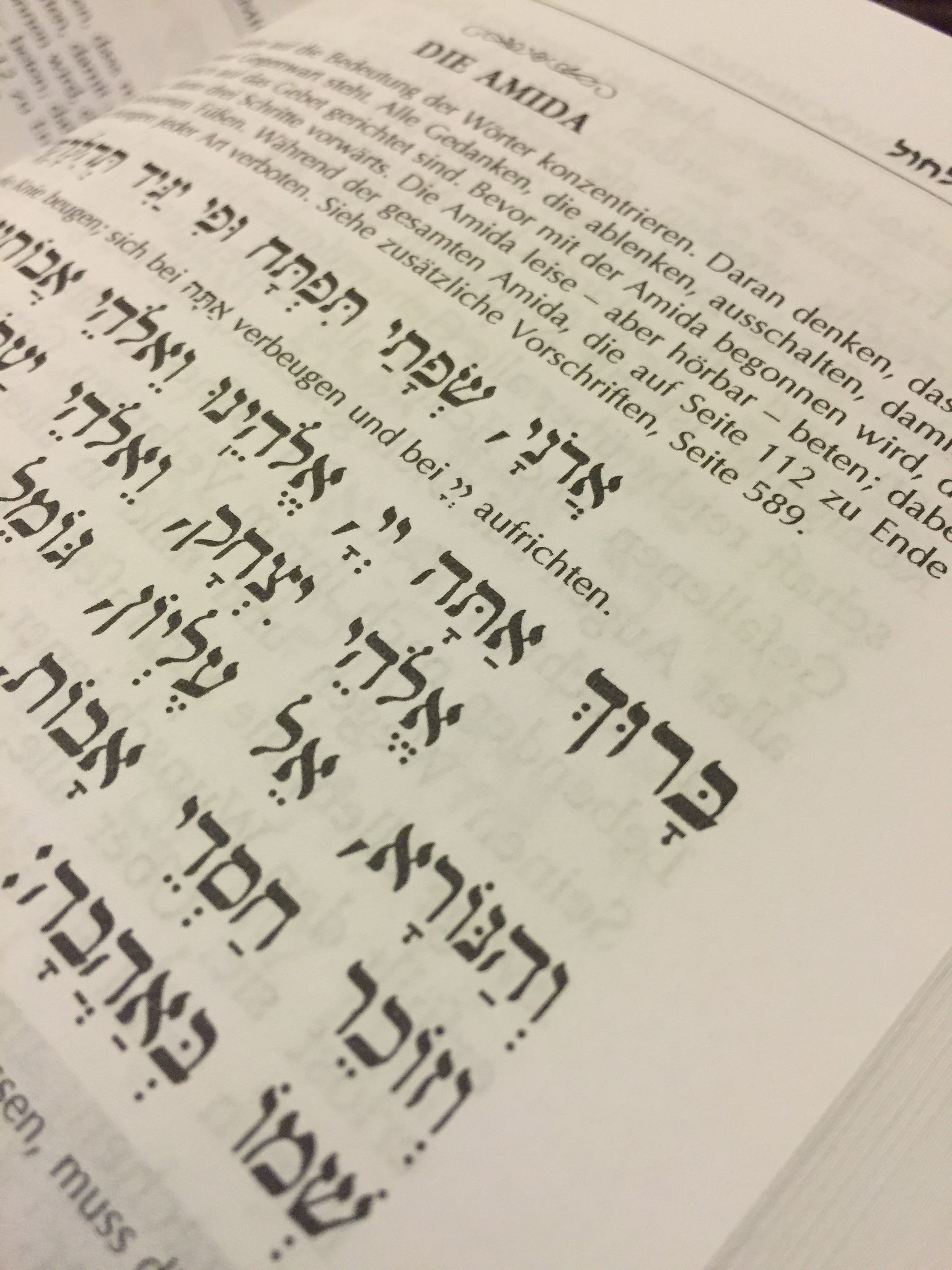 Siddur Tehillat HaSchem Detailansicht der Amidah